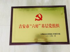 荣获吉安市“六好”基层党组织